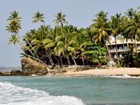 Куда поехать отдыхать на Шри Ланка в январе