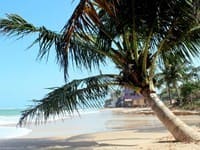 Куда поехать отдыхать на Шри Ланку в феврале