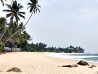 Куда поехать отдыхать на Шри Ланку в марте